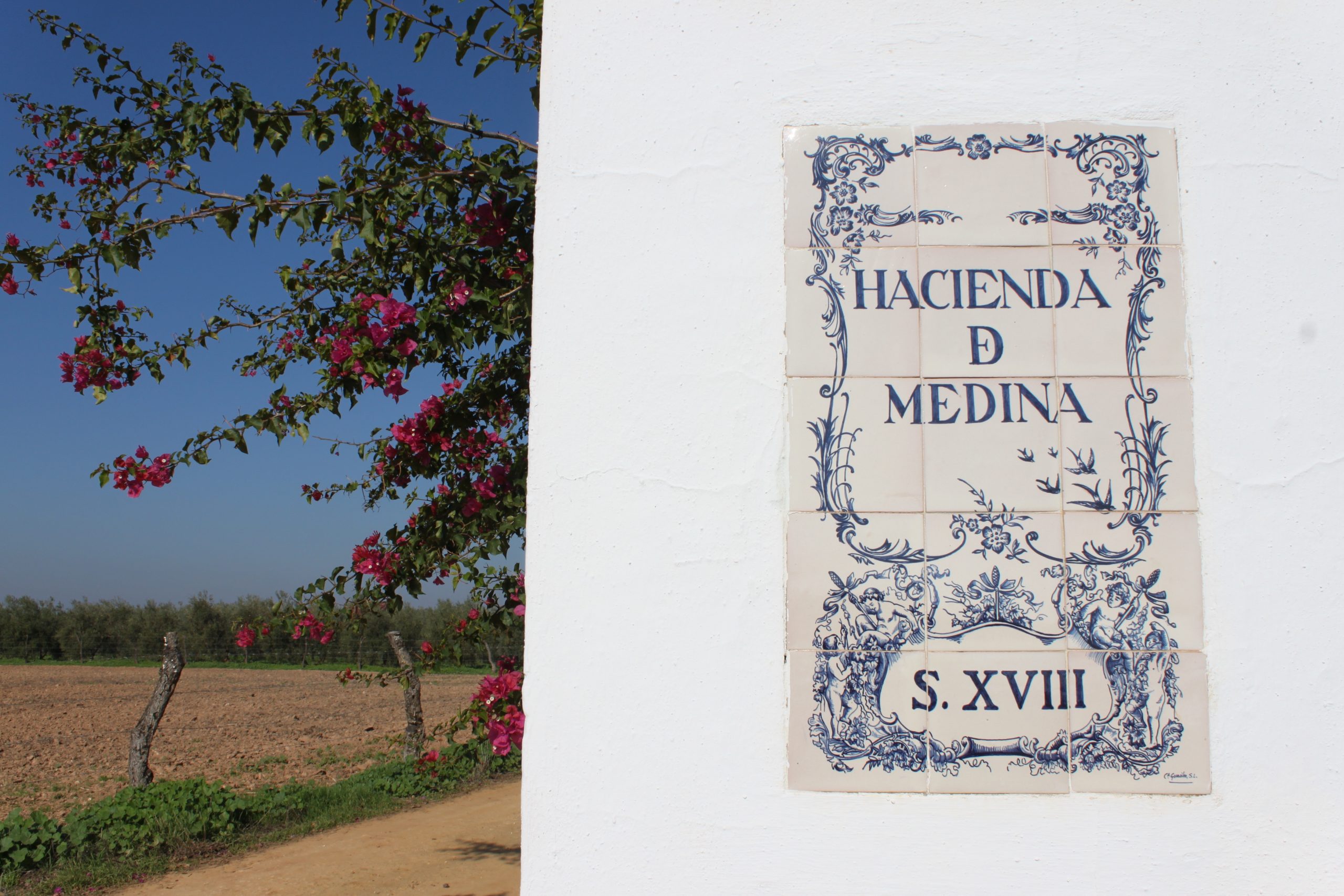 Hacienda de bodas en Sevilla, Hacienda de Medina, el lugar perfecto para la celebración de bodas o bodas civiles en Sevilla.